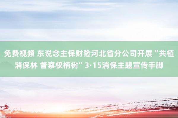 免费视频 东说念主保财险河北省分公司开展“共植消保林 督察权柄树”3·15消保主题宣传手脚