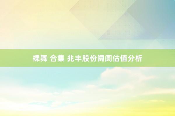 裸舞 合集 兆丰股份阛阓估值分析