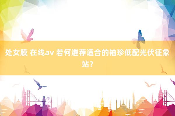 处女膜 在线av 若何遴荐适合的袖珍低配光伏征象站？