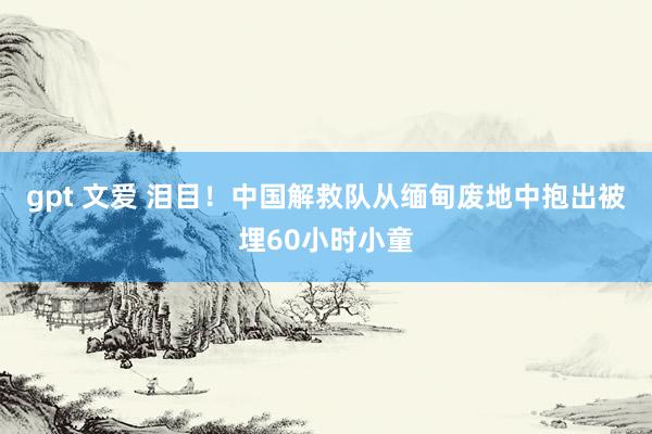 gpt 文爱 泪目！中国解救队从缅甸废地中抱出被埋60小时小童