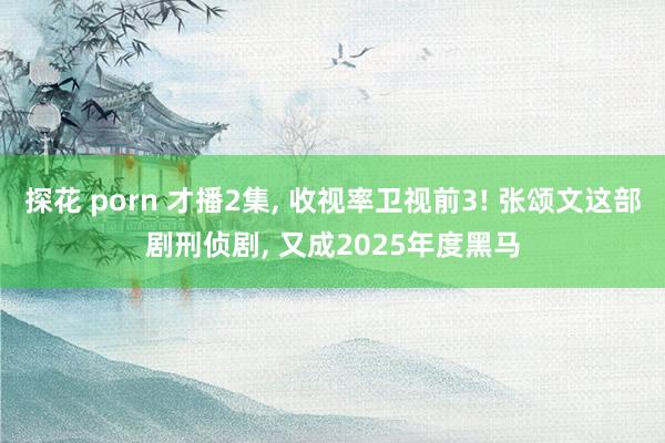 探花 porn 才播2集， 收视率卫视前3! 张颂文这部剧刑侦剧， 又成2025年度黑马