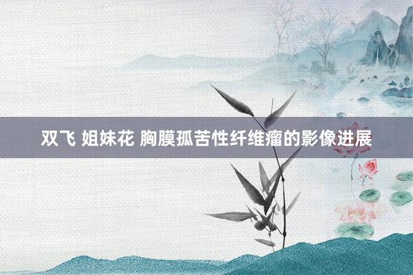 双飞 姐妹花 胸膜孤苦性纤维瘤的影像进展