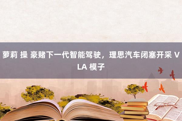 萝莉 操 豪赌下一代智能驾驶，理思汽车闭塞开采 VLA 模子