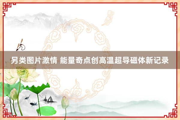 另类图片激情 能量奇点创高温超导磁体新记录