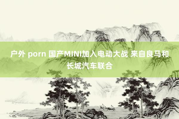 户外 porn 国产MINI加入电动大战 来自良马和长城汽车联合