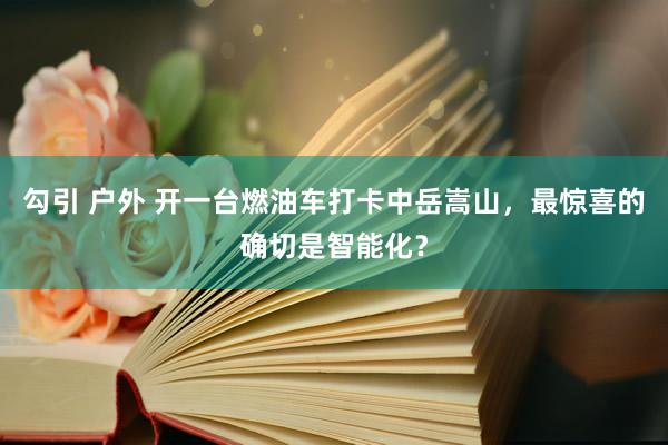 勾引 户外 开一台燃油车打卡中岳嵩山，最惊喜的确切是智能化？