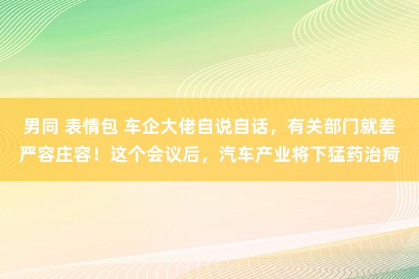 男同 表情包 车企大佬自说自话，有关部门就差严容庄容！这个会议后，汽车产业将下猛药治疴