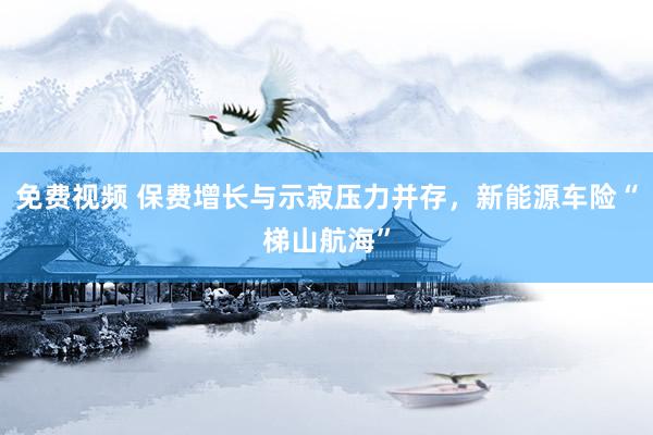 免费视频 保费增长与示寂压力并存，新能源车险“梯山航海”